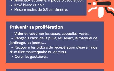 coupez l’eau aux moustiques tigres !